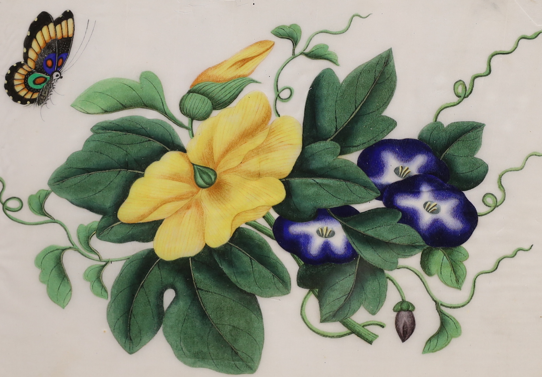 19th century Chinese school, pair of pith paper paintings, Still lifes of flowers, each 16.5 x 23cm, housed in decorative frames